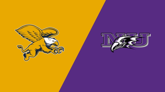 教练的智慧 教练的智慧