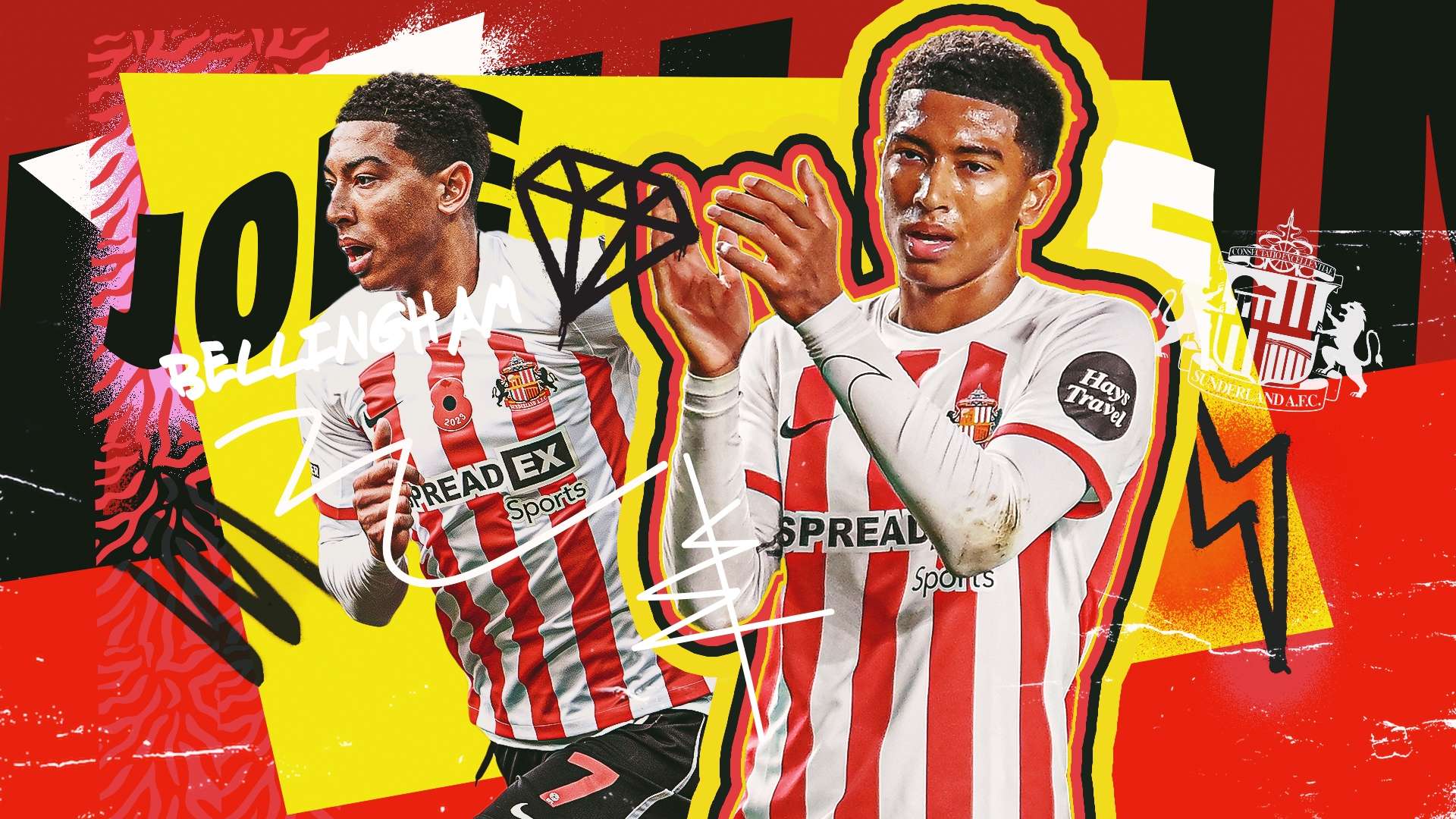 选择标准 选择标准